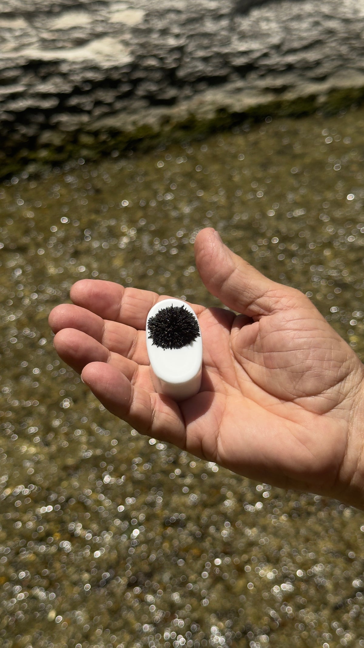 Pocket Mag black sand magnet held in hand with magnetite clinging to its face